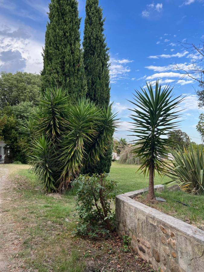 Alpilles Camargue Mas Falabrego Raphele Екстер'єр фото